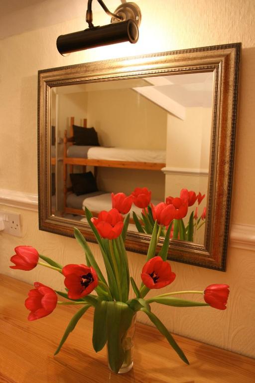 Bed & Breakfast The Telstar Exeter